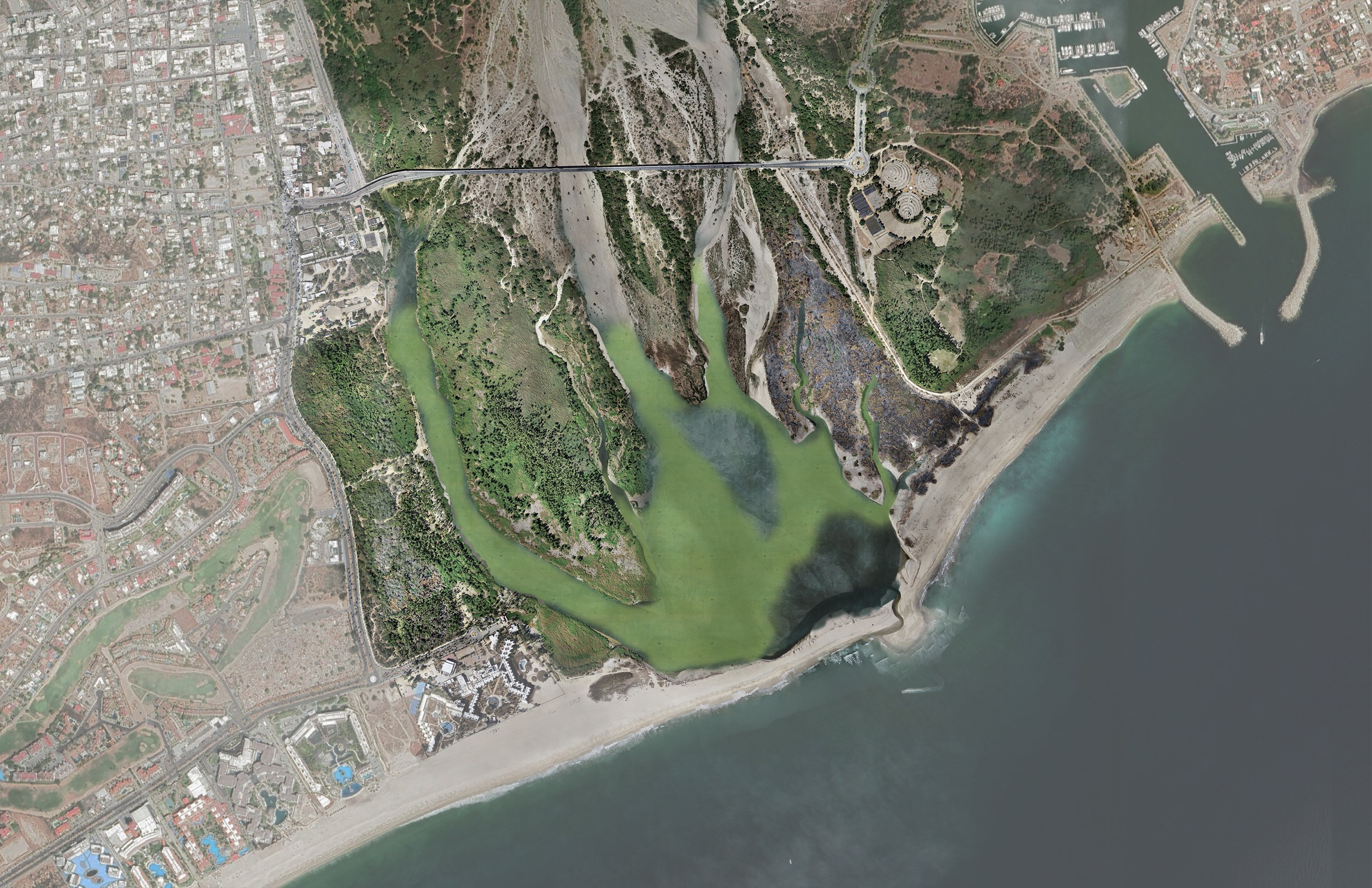 Aerial view of the estuary before restoration