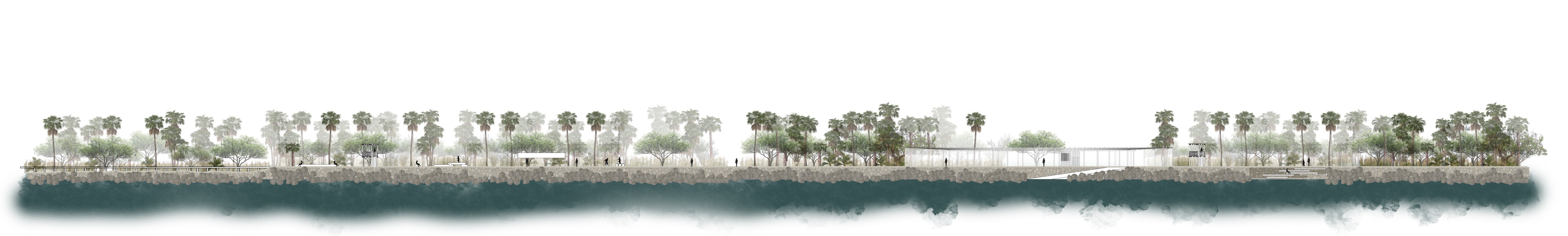 Architectural cross-section of the ecological park edge showing restored vegetation, pathways, and water interface